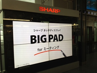 BIG PAD (2).jpg